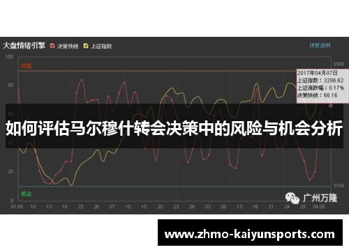 如何评估马尔穆什转会决策中的风险与机会分析