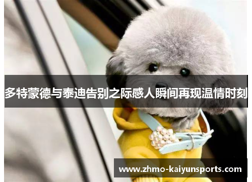 多特蒙德与泰迪告别之际感人瞬间再现温情时刻