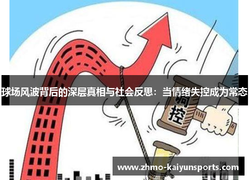 球场风波背后的深层真相与社会反思：当情绪失控成为常态