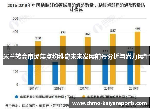 米兰转会市场焦点约维奇未来发展前景分析与潜力展望