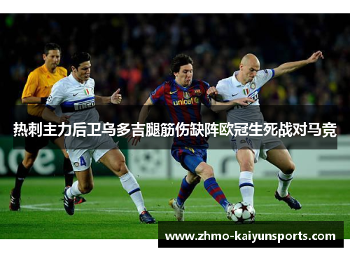 热刺主力后卫乌多吉腿筋伤缺阵欧冠生死战对马竞